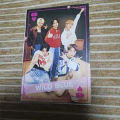 WILD　BLUE　JUNON眼福イケメントランプ