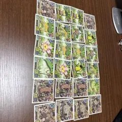 キャラクターシールセット 24枚