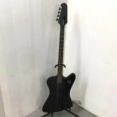 2025年最新】epiphone thunderbird bassの人気アイテム - メルカリ