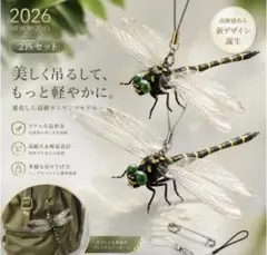 2026年最新】トンボ標本の人気アイテム - メルカリ