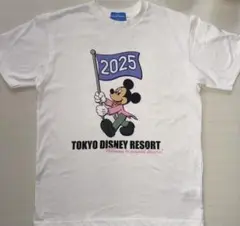 ディズニー tシャツ