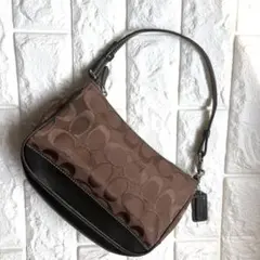 コーチ　アクセサリーポーチ　ショルダーバッグ　ブラウン　鞄　バッグ　coach
