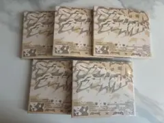 新品未開封 CXM HYPE VIBES セブチ アルバム エスクプス ミンギュ