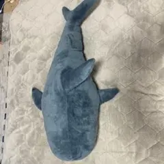 サメ ぬいぐるみ