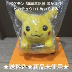 ポケモン 30周年記念 おかえり! ピカチュウ1/1 ぬいぐるみ