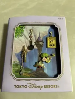 東京ディズニーリゾート ラプンツェル ピアスセット