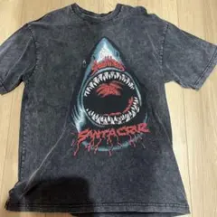 SANTA CRUZ Tシャツ ブラック Lサイズ