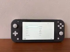 Nintendo Switch Lite グレー 本体のみ 美品 作動確認済み