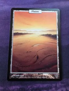 MTG　平地/Plains　フルアート　UNH