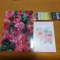 クリアファイル ポストカード 薔薇模様 サンプル6こセット オージオ