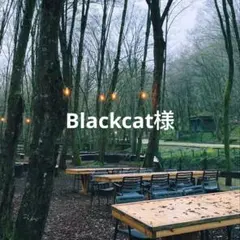コメントご確認下さい Blackcat様 リクエスト 3点 まとめ商品のサムネイル
