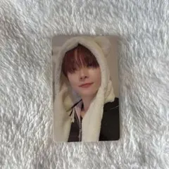 &TEAM 雪明かり ふわふわアニマル トレカ ニコラス NICHOLAS