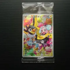 2026年最新】ナンジャモ カイデン 未開封の人気アイテム - メルカリ