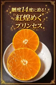 糖度13.5越え！ 秀品 中島プリンセス 愛果48号紅プリンセス同品種 3kg