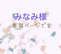 みなみ様　専用ページです♡