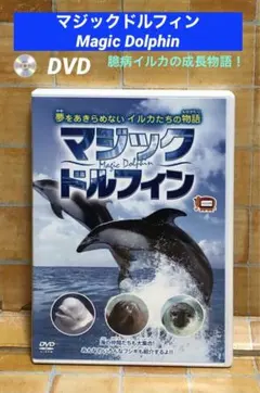 Item thumbnail for item 3eec24db-d583-44d5-920f-1c3a4babb821