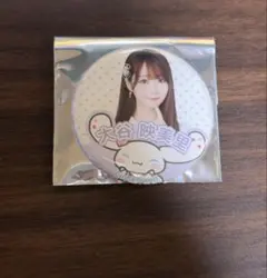 =LOVE イコラブ 大谷映美里 シナモン 缶バッジ