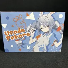 川上修人様　専用 ホロライブ　ダーツセット　兎田ぺこら 2025年最新】兎田ぺこら ダーツの人気アイテム - メルカリ