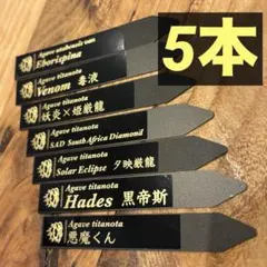 5本　プランツタグ　園芸ラベル　アガベ　チタノタ　白鯨　黒鯨　ハデス　シーザー