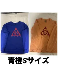 NIKE ACG L/S ロンT Sサイズ