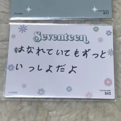 seventeen ジュン トレカ HANABI ペンミ セブチ