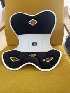 【ドイツ レッド・ドット賞受賞製品】姿勢サポート 椅子　直接引き取り　配送も可のサムネイル