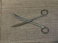 2026年最新】ADA プロシザースの人気アイテム - メルカリ