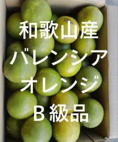 和歌山産 バレンシアオレンジ B級品 5kgのサムネイル