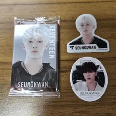 スングァン ステッカー シール