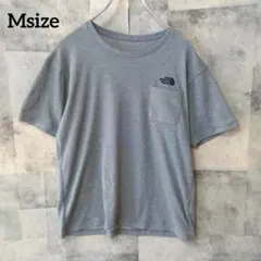 THE NORTH FACE Msize 半袖Tシャツ 刺繍ロゴ グレー