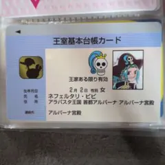 ネフェルタリ・ビビ チョッパークリニック診察券ワンピース ワールド