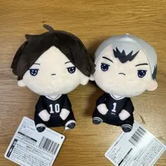 【プライズ】② ハイキュー　もちぴこぬいぐるみ　2種
