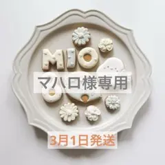 マハロ様専用⭐︎シマエナガアイシングクッキー