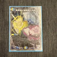 蜃気楼と誠偽感の決断 - メルカリ