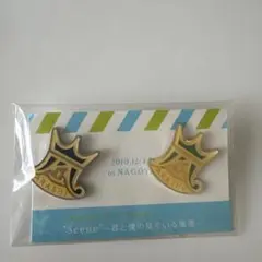 嵐 大野智 名古屋限定 青 ピンバッジ Scene 見ている風景 公式