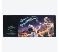 東京ディズニーリゾート　フェイスタオル　新品　最終値下げ‼️