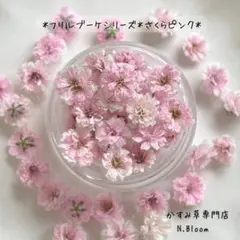 かすみ草　＊さくらピンク＊　60粒＋α フリルブーケシリーズ　ドライフラワー