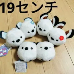 ポケットモンスター ふりむきぬいぐるみ こっちむいてくるりん