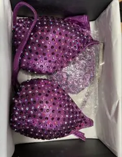 ❤︎season bikini❤︎パープル ssa apf nabba fwj