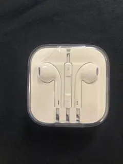 Apple純正 イヤホンジャックタイプ