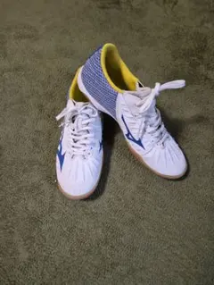 MIZUNO フットサル・体育館シューズ・25cm