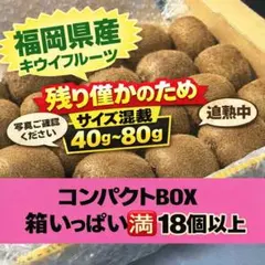 残り僅か★キウイフルーツ　果物　福岡県産箱いっぱい　1.2k以上　サイズ混載