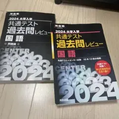 2024大学入学共通テスト過去問レビュー 国語 (書き込みあり)