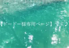 【ドードー様専用ページ】です♪のサムネイル