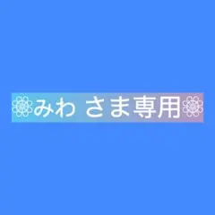 みわさま専用•*¨*•.¸♬︎