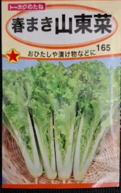 2026年最新】東哉の人気アイテム - メルカリ