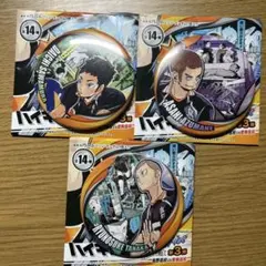 ハイキュー　コレクション缶バッジ　メモリーズ　烏野　澤村　東峰　田中