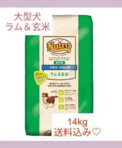 Item thumbnail for item 02880417-d93c-4099-862b-dbe7b3a5f3a1