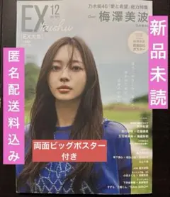 Item thumbnail for item 8cc4b12d-9796-461a-96cd-f17c2e4bf65c