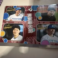 北海道日本ハムファイターズ 清宮幸太郎フォトステッカー